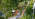 lpr-lanscape-a34-b34_page57_image4-47KD1746621369.png